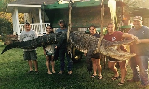 Thợ săn Mỹ hạ gục cá sấu khổng lồ dài 4 m