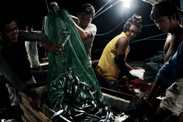 Trung Quốc “vắt kiệt” nguồn cá ở ngư trường Biển Đông