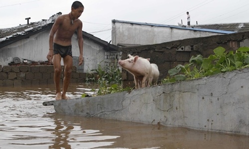 Hàng nghìn người Triều Tiên mất nhà cửa do lũ lụt