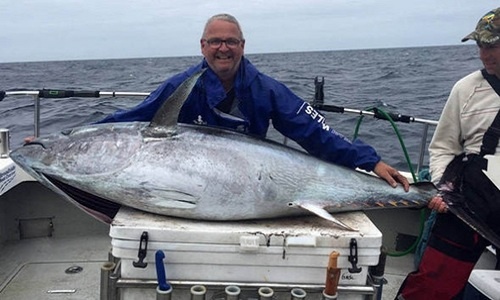 Cá ngừ nặng 136 kg cắn câu ngư dân Anh
