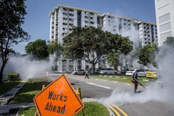 Đã có 242 người ở Singapore nhiễm virus Zika chỉ sau 1 tuần