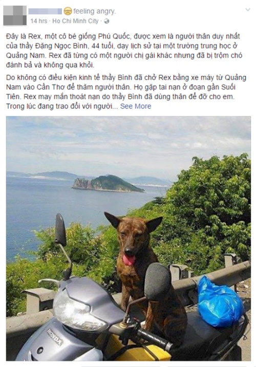 Thầy giáo nghèo vạ vật Sài Gòn tìm chó Phú Quốc mất tích