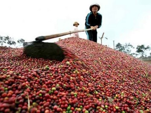 Nông sản Việt xuất sang Trung Quốc: Mục tiêu "phá ngưỡng" 5 tỷ USD