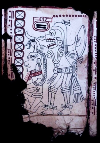 Cổ thư của người Maya là sách viết tay lâu đời nhất châu Mỹ