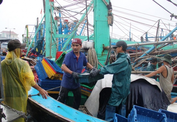 Bình Định: Ngư dân dầm mưa bán cá “chạy” bão