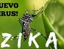 Nhật Bản: Phát hiện bệnh nhân nhiễm Zika đến từ Việt Nam