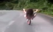 Cô gái bốc đầu xe đạp khi đổ dốc
