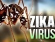 Trường hợp nhiễm virus Zika ở Nhật Bản không phải công dân Việt Nam