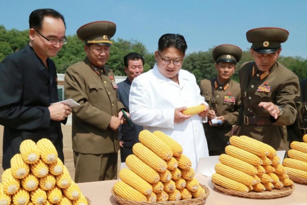 Lãnh đạo Kim Jong-un thị sát hoạt động nông nghiệp tại Triều Tiên