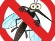 Sự thật bất ngờ về 7 sản phẩm chống muỗi chúng ta vẫn từng được nghe