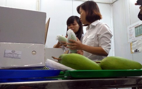 Trái xoài Việt chính thức có mặt trên kệ siêu thị Úc