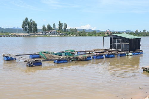 Cá lồng chết hàng loạt trên sông ở Quảng Bình