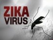 Người dân TP. HCM hãy đến 30 bệnh viện sau để xét nghiệm virus Zika miễn phí