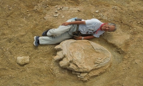 Dấu chân 70 triệu năm của thằn lằn hộ pháp trên sa mạc