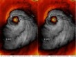 Hình ảnh vệ tinh của siêu bão "quái vật" Matthew khiến dân mạng tái mặt