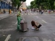 Cô gái trẻ cúi xuống hót phân chó trên đường cho vào thùng rác