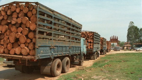 Mỗi năm Việt Nam nhập 4,5 triệu m3 gỗ từ 100 quốc gia trên thế giới