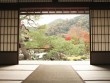 Lý do vì sao nhà Nhật có kiến trúc khác thường?