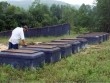 Chuyện lạ ở Huế: Hàng ngàn ngôi mộ bị đóng đinh