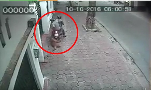 Trộm kéo lê chó Phú Quốc chục triệu đồng giữa phố Hà Nội