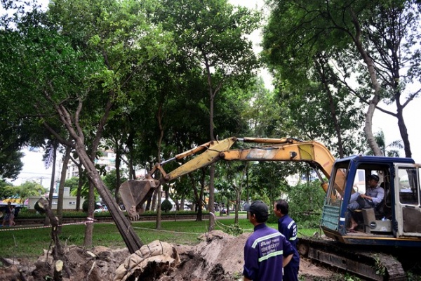 Sài Gòn bứng 75 cây xanh để xây dựng ga metro Bến Thành