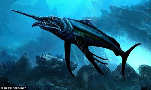 Bộ xương cá kiếm 100 triệu tuổi có hàm răng ngoại cỡ