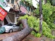 Ảnh hưởng bão số 7, Hà Nội có mưa lớn và gió giật cấp 6