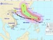 Bão số 7 vào vùng biển Quảng Ninh, suy yếu thành áp thấp nhiệt đới