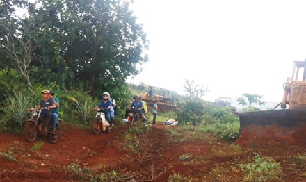 Vụ nổ súng ở Đắk Nông: Rà soát lại việc sử dụng đất