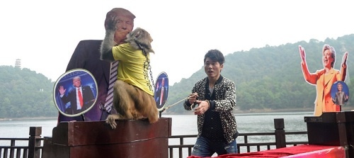 "Thánh khỉ" Trung Quốc tiên đoán Trump trúng cử