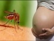 Người phụ nữ mang thai nhiễm virus Zika ở TP.HCM đã sinh con