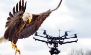 Không quân Pháp sử dụng chiến binh đại bàng săn UAV