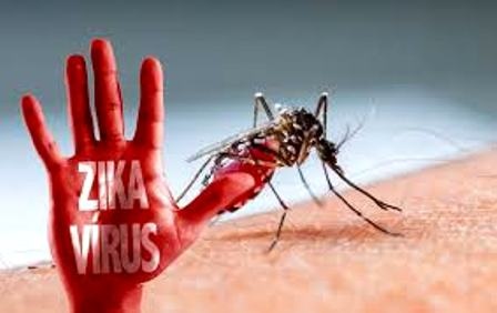Số người nhiễm Zika mỗi ngày một “leo thang”