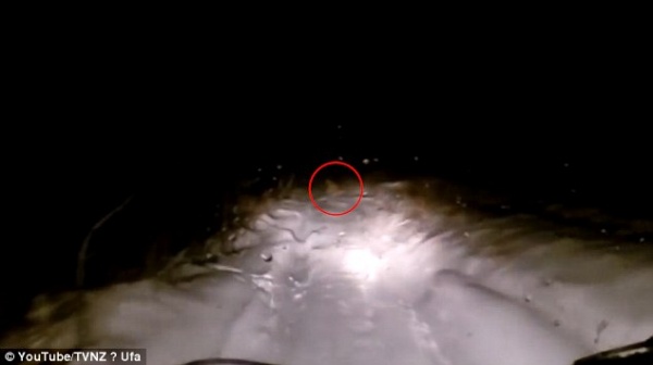 Video: Quái vật Yeti băng qua đường ở Nga?