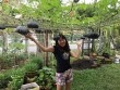 Cách trồng bí ngô trên giàn trĩu quả của mẹ Việt tại Malaysia