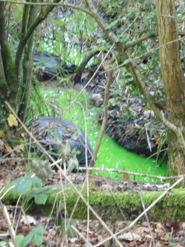 Anh: Suối bỗng chuyển màu xanh lá cây bí ẩn