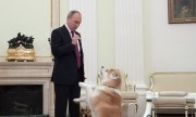 Tổng thống Putin trổ tài dỗ chó