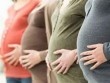Bị cấy nhầm tinh trùng, 26 cặp đôi có thể sinh con cho người lạ