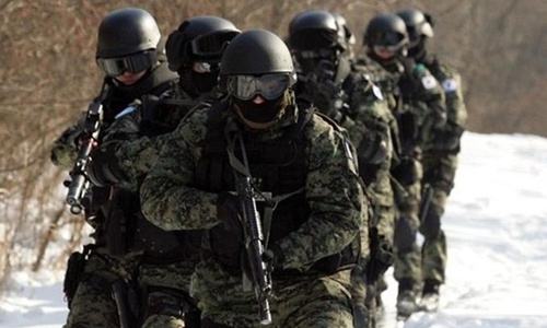 Đội đặc nhiệm nghìn người ám sát lãnh đạo Triều Tiên của Hàn Quốc