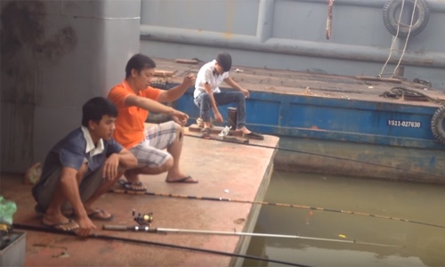 Ba "sát thủ" giật cá trê liên tục trên sông Sài Gòn