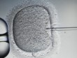 Em bé thụ tinh trong ống nghiệm có 3 cha mẹ ra đời