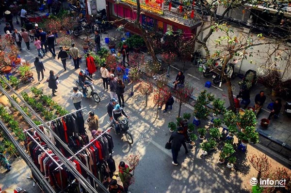 Ngắm chợ hoa lâu đời nhất của Hà Nội những ngày cuối năm