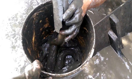 Nông dân hò reo thấy đàn cá lóc trốn trong ống nhựa dưới ao