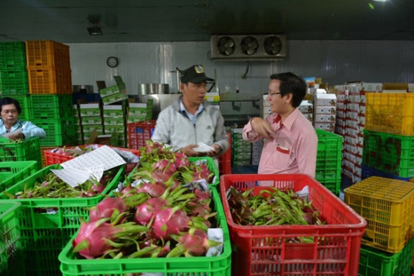 Thanh long Việt bán tại Mỹ giá 180.000 đồng/kg