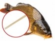 Cách mổ cá không cần rạch bụng gây sốt