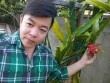 Dạo một vòng thăm vườn rau củ quả của sao Việt xem ai khéo tay