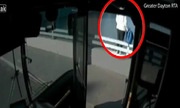 Tài xế dừng xe buýt giữa cầu cứu người tự tử