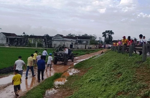 Đi chăn trâu, sét đánh chết cả chủ lẫn trâu