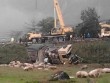 Hàng chục con lợn chạy loạn khi xe tải lao xuống ruộng