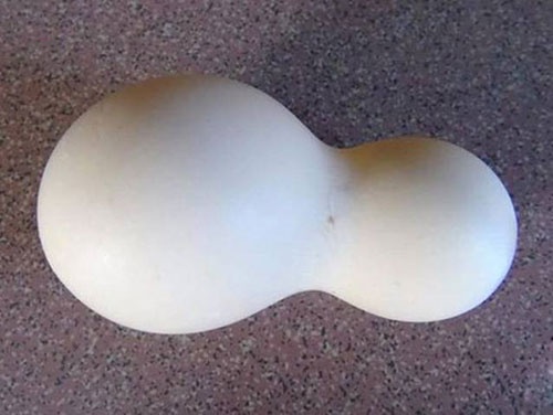 Lạ mắt: Quả trứng gà mang hình hài hồ lô